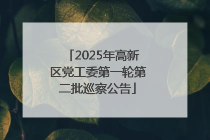 2025年高新区党工委第一轮第二批巡察公告