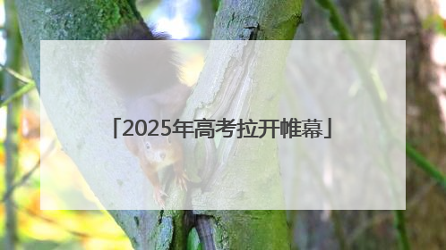 2025年高考拉开帷幕