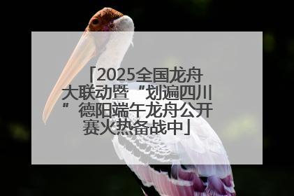 2025全国龙舟大联动暨“划遍四川”德阳端午龙舟公开赛火热备战中