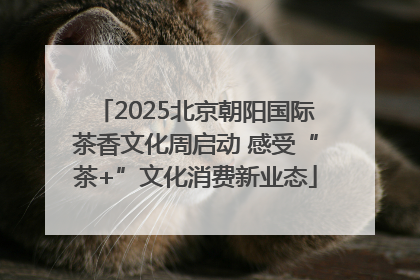 2025北京朝阳国际茶香文化周启动 感受“茶+”文化消费新业态
