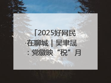 2025好网民·在聊城｜吴聿晟：党徽映“税”月 网播传政声