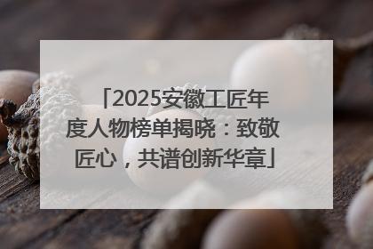 2025安徽工匠年度人物榜单揭晓：致敬匠心，共谱创新华章