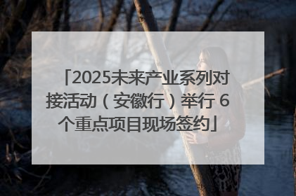 2025未来产业系列对接活动（安徽行）举行 6个重点项目现场签约