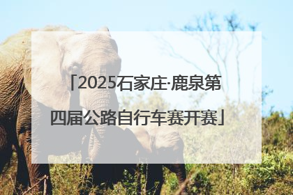 2025石家庄·鹿泉第四届公路自行车赛开赛