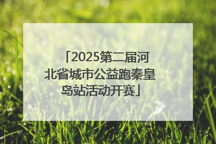 2025第二届河北省城市公益跑秦皇岛站活动开赛