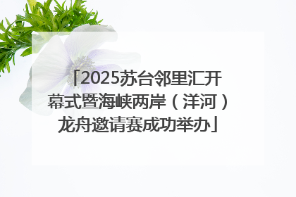 2025苏台邻里汇开幕式暨海峡两岸（洋河）龙舟邀请赛成功举办