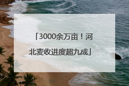 3000余万亩！河北麦收进度超九成