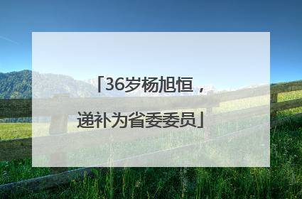 36岁杨旭恒，递补为省委委员