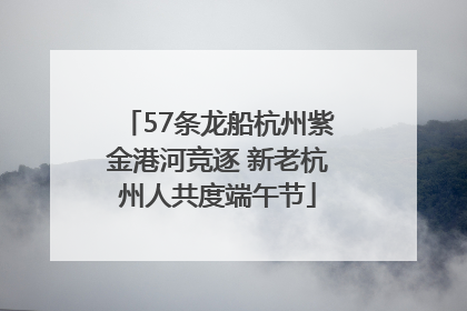 57条龙船杭州紫金港河竞逐 新老杭州人共度端午节