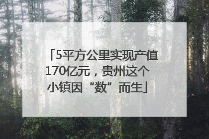 5平方公里实现产值170亿元，贵州这个小镇因“数”而生