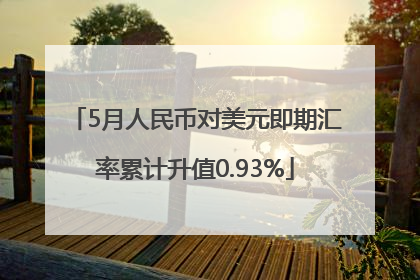 5月人民币对美元即期汇率累计升值0.93%
