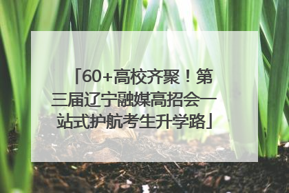 60+高校齐聚！第三届辽宁融媒高招会一站式护航考生升学路