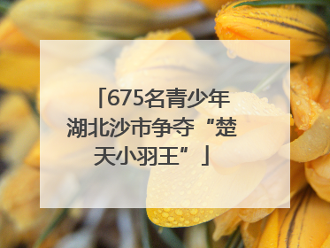 675名青少年湖北沙市争夺“楚天小羽王”