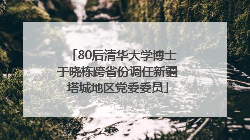 80后清华大学博士于晓栋跨省份调任新疆塔城地区党委委员
