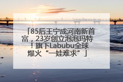 85后王宁成河南新首富，23岁创立泡泡玛特！旗下Labubu全球爆火“一娃难求”