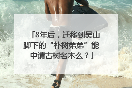 8年后，迁移到吴山脚下的“朴树弟弟”能申请古树名木么？