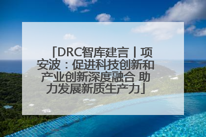 DRC智库建言丨项安波：促进科技创新和产业创新深度融合 助力发展新质生产力
