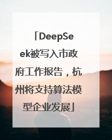 DeepSeek被写入市政府工作报告，杭州将支持算法模型企业发展