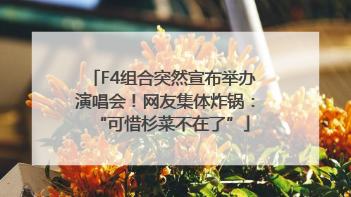 F4组合突然宣布举办演唱会！网友集体炸锅：“可惜杉菜不在了”