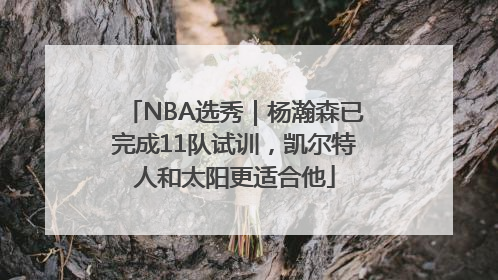 NBA选秀｜杨瀚森已完成11队试训，凯尔特人和太阳更适合他