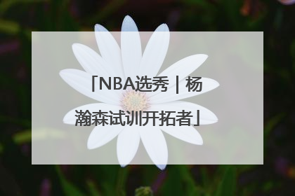 NBA选秀｜杨瀚森试训开拓者