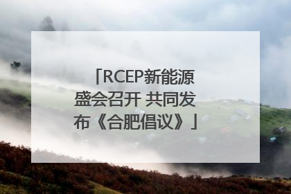 RCEP新能源盛会召开 共同发布《合肥倡议》