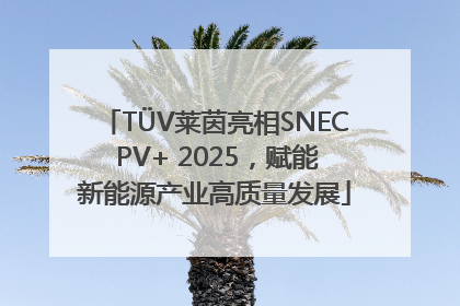 TÜV莱茵亮相SNEC PV+ 2025，赋能新能源产业高质量发展